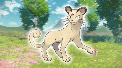 konter snobilikat|Pokémon Go: Giovanni im März 2023 besiegen